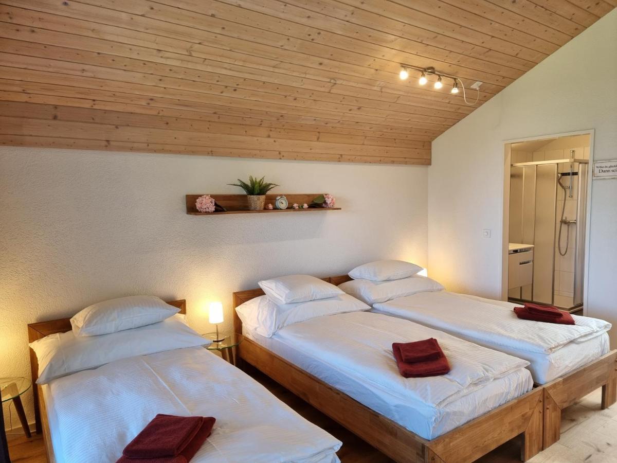 Seeparadiesli am schönen Thunersee Därligen Exterior foto
